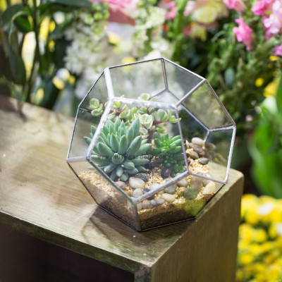 Geometric Ball Shape Plants Glass Terrarium Planter Pot Box for Christmas Presen 711978548097  162670928477